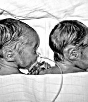 Emily Claire & Isabelle Marie Adams's Memorial