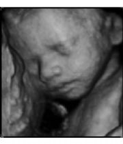 Clemira Clarice Maxwell's Memorial