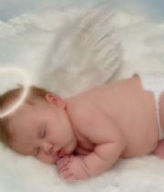 dolphins4life dolphins4life