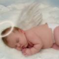 dolphins4life's Online Memorials