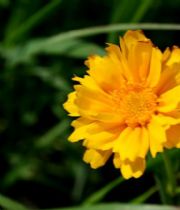 LyndaZawadskiBrunson LyndaZawadskiBrunson