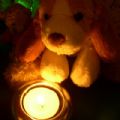 Austin-GeorgeWildman's Online Memorials