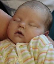 Liam Nissen Liam Nissen