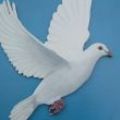 marymaddison's Online Memorials