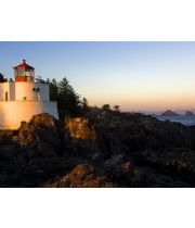 berry bernars berry bernars