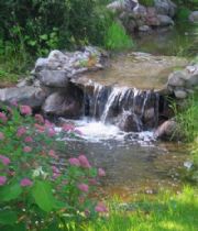 Nancy  Martin's Memorial