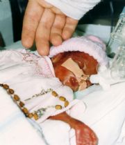 Sheridan Steele Sheridan Steele