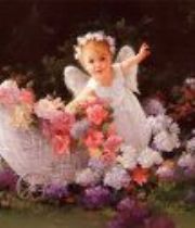 harley stapleton harley stapleton