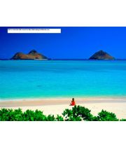 Xibin Zeng Xibin Zeng