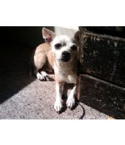 Rocket Sanchez Rocket Sanchez