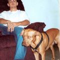 brianchico's Online Memorials