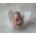 AngelMichealorJade's Online Memorials