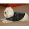 a biker style dogs jacket