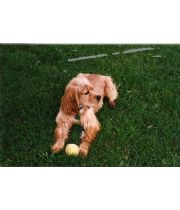 Juneau Rodgers Juneau Rodgers