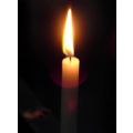 JohnDavidTrasin's Online Memorials