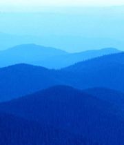 Baby Corey Ross Baby Corey Ross