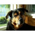keila's Online Memorials