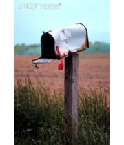 Luke's  Mailbox's Memorial