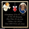 nonaleeroberts's Online Memorials